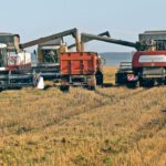 Russia will add an extra 30 million tonnes of grain export capacity by 2022, according to the country’s agriculture minister. That’s the equivalent of Canada’s combined annual canola and wheat exports. | Reuters photo