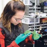 Kaila Hamilton recently completed her master’s degree and is continuing to research plant physiology as part of Karen Tanino’s group at the University of Saskatchewan. She is testing soy leaves to assess hydrophobicity and identify markers for frost resistance. | Canadian Light Source photo