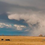 Crop, livestock and hail insurance premiums are included in the change, as are individual and group life and health insurance premiums, and disability, accident and sickness premiums. | File photo