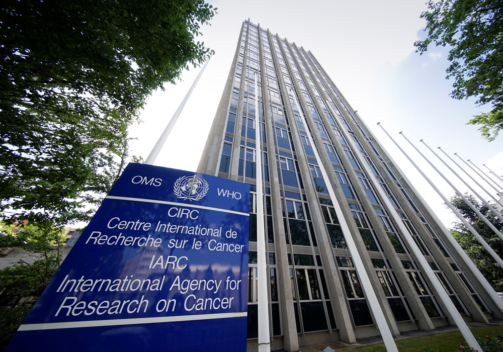IARC's review of benzene sheds new light on how the cancer agency operates, and
comes at a time when it is facing scrutiny from U.S. lawmakers over its
methods and transparency. | Reuters photo
