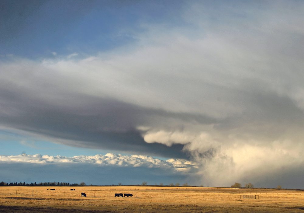 Farmers will need to look to the horizon for their precipitation this growing season, say forecasters.  |  Michael Raine photo