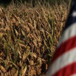 American President Donald Trump announced tariffs on imports of steel and aluminum today, setting the stage for China to retaliate with its own tariffs on U.S. products, possibly on things like corn and soybeans. | File photo