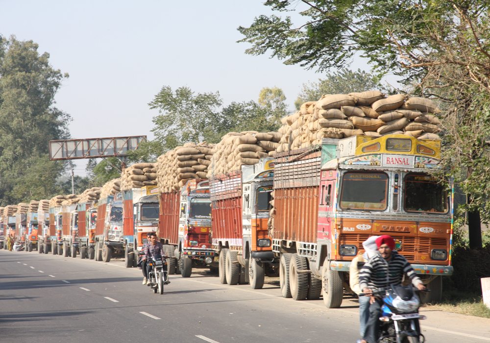 The Indian government has raised the import tariff for chickpeas from 40 percent to 60 percent. This is the second time India has raised the tariff. | File photo