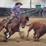 Suzon Schaal circles the cow during a demonstration of cow horse fence work. | William DeKay photo