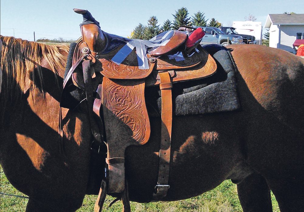 Researchers with the Canadian Centre for Health and Safety in Agriculture equipped saddles with sensors to monitor vibration and shock rates. They used the data to figure out how at risk horseback riding can be for back pain.  | Catherine Trask photo