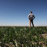 The Producer’s experienced staff covers agriculture with vigour and a journalist’s skeptical eye.
| File photo
