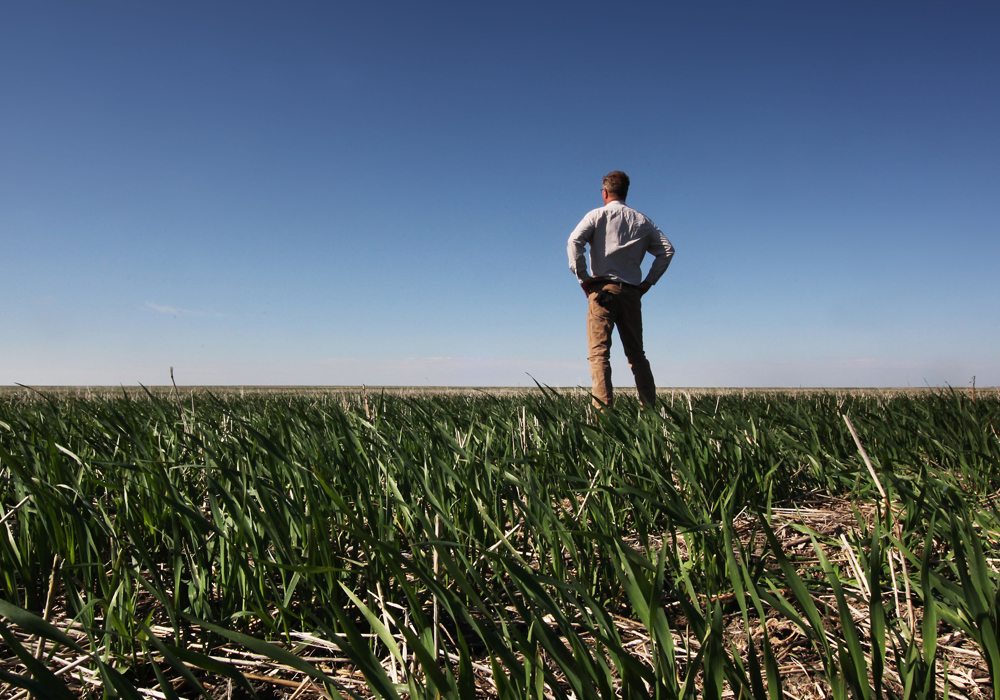 The Producer’s experienced staff covers agriculture with vigour and a journalist’s skeptical eye.  | File photo