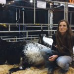 Brandy Barnes of Texas is hosting Speckle Park heifers at her Texas ranch. | Barbara Duckworth photo