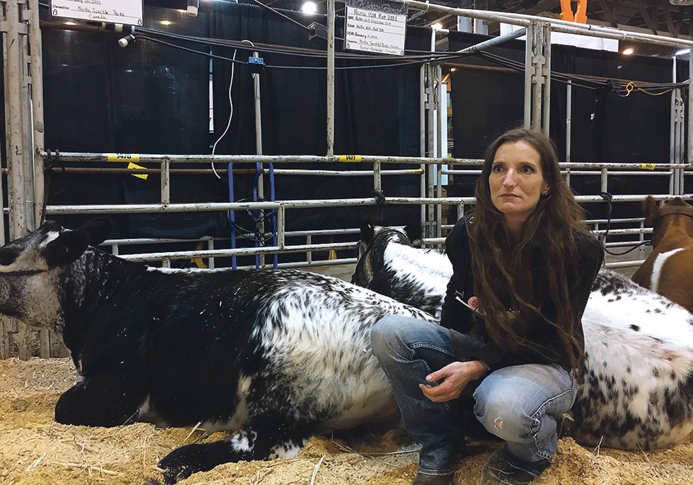 Brandy Barnes of Texas is hosting Speckle Park heifers at her Texas ranch.  |  Barbara Duckworth photo
