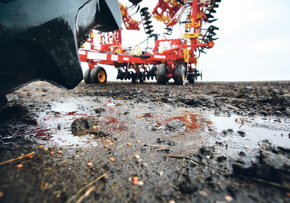 Normal rainfall is expected for much of the Prairies this spring.  |  File photo