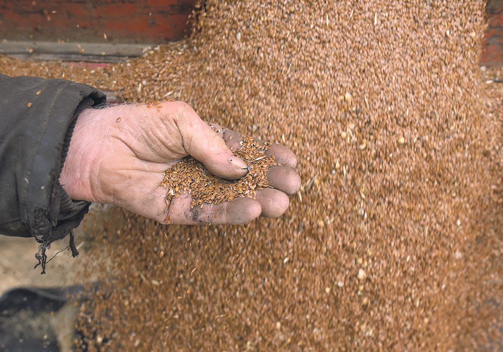 The Black Sea region has increased its production of all crops, including flax, and is undercutting Canada’s prices in the Chinese and European markets.  |  File photo