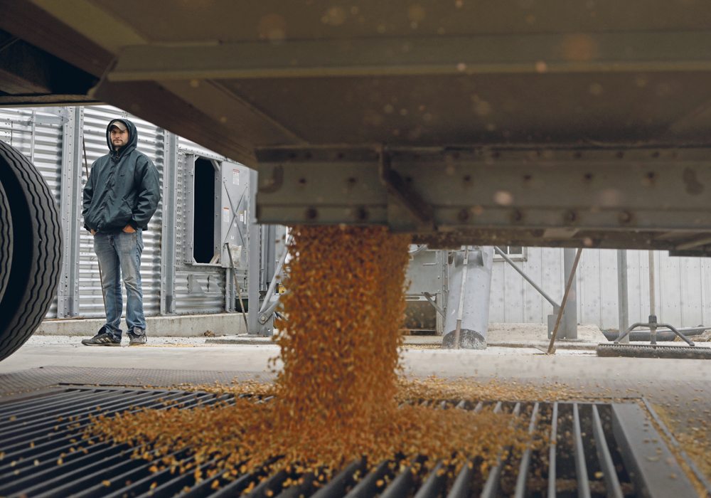 A farmer watches as corn kernels are dumped into a grain elevator during last year’s harvest near Dixon, Nebraska.  |  REUTERS/Lucas Jackson photo