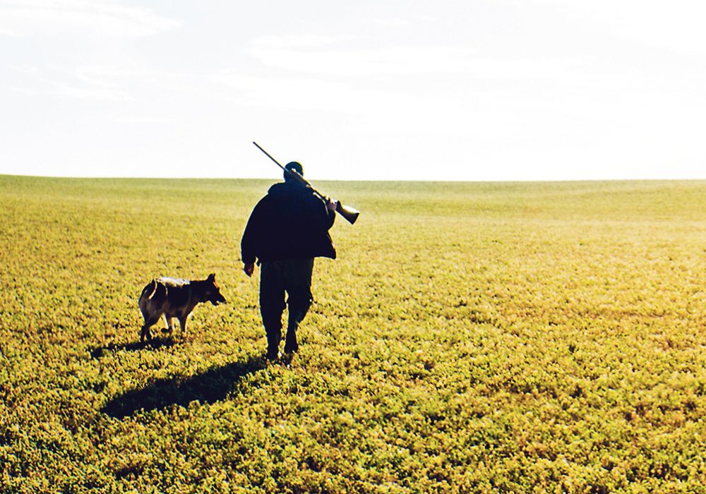 "The question, when it comes to defence of property, is whether it would be 'reasonable' in the circumstances to use deadly force to evict a trespasser or someone who is stealing your property.  Most cases would suggest that it is not," says Michael Lacy, a lawyer and partner at Brauti Thorning Zibarras LLP in Toronto.