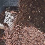 The world market for prairie commodities such as canola is getting less friendly these days. | File photo