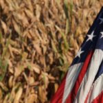 Two much anticipated reports from the United States Department of Agriculture (USDA) sent markets soaring and left traders speechless in the last trading day before the Easter holiday. | File photo
