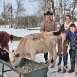 The Stewart Family with a few of their young longhorn cattle. Mark and Tina are in the back and Erik, 6, left, Owen, 9, and Jenalee, 10, are in the back. | Maria Johnson photo