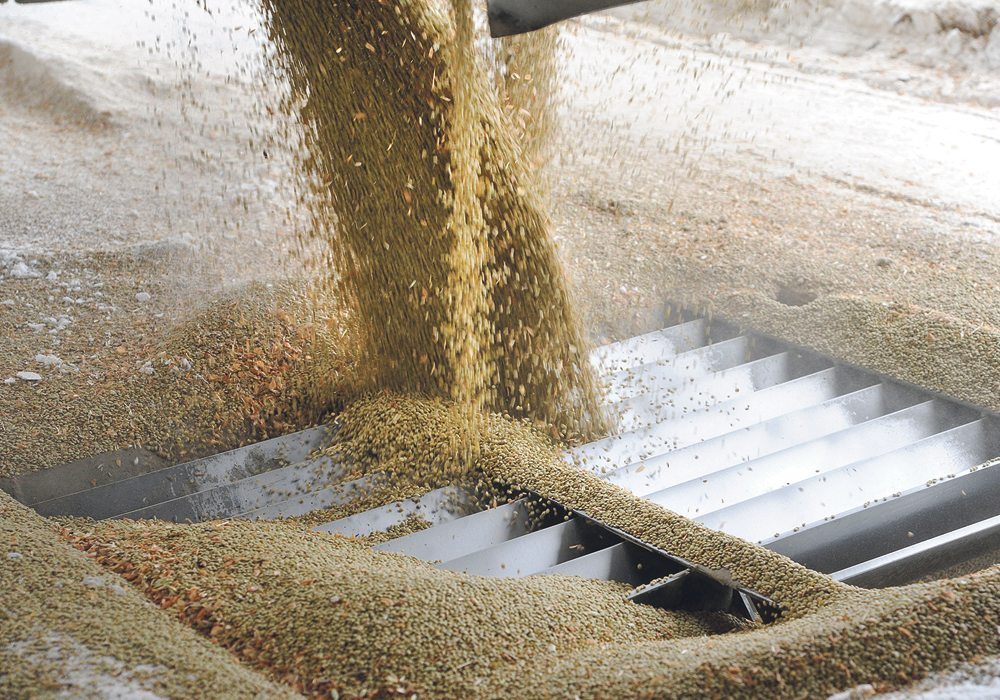 India’s import duties on pulses, including lentils, are part of domestic politics in that country.  |  File photo