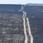 The Alberta government is hoping new regulatory changes will help municipalities better respond to fires, flooding or other natural disasters in their communities. | File photo