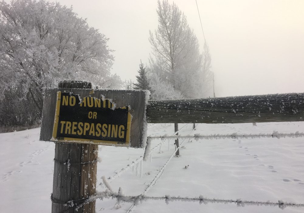 The Saskatchewan government says it’s willing to look at current trespass laws that put the onus on landowners to post their land to keep others out.  | File photo