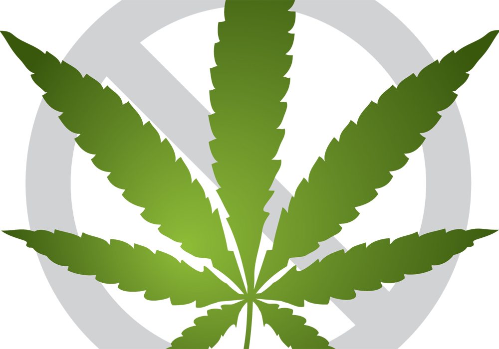 New surveys show higher marijuana use than ever before, with more people willing to report use now legalization is imminent. | WP graphic