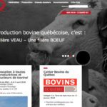 Quebec's beef producers association has joined the Canadian Cattlemen's Association. | Screencap via bovin.qc.ca