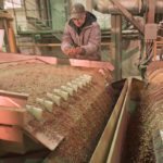 Following a North American winter where India increased import tariffs on numerous pulse crops (lentils, peas, chickpeas) the pulse market has slowed and prices have dropped. | File photo