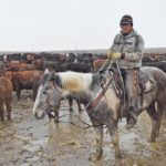 Sage Shade, a pen rider at VRP Farms near Picture Butte, Alta., says it is difficult for First Nations people to leave the reserve and seek employment. “It’s like going to another country.”  |  Barb Glen photo