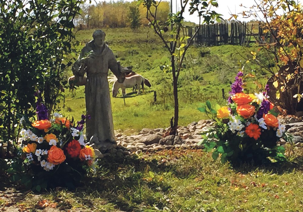 The Eirickson family cemetery is on a slight knoll overlooking a lush green pasture and the gently sloping ravine that runs through it.  A statue of St. Francis of Assis watches over the graves of  Oli and Irene Eirickson, laid to rest there in 2010 and 2013. |  Shirley Byers photo