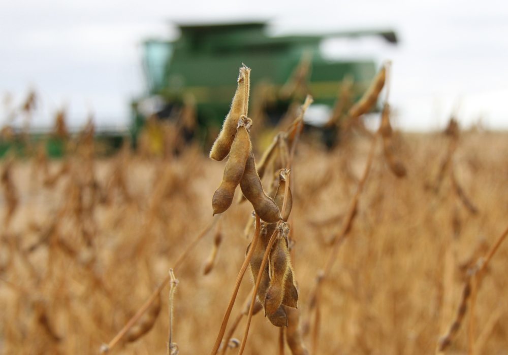 Manitoba Pulse & Soybean Growers released an acreage estimate April 25, suggesting that soybean acres this spring could be higher than the 2.29 million planted in 2017. | File photo