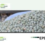 The humble field pea has recently gained some international credibility through an Environment Product Declaration, and it is the first North American food product to do so. | Screencap via www.environdec.com
