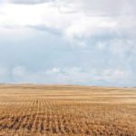In 2017, Saskatchewan saw the highest average increase of 10.2 percent while British Columbia had the lowest increase at 2.7 percent. | File photo