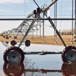 It will be awhile until pivot irrgation is needed in some fields within Lethbridge County. Standing water in fields is commonplace, as in this one near Park Lake, north of Lethbridge. | Barb Glen photo