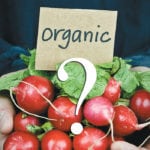 “Whenever there is that differential (in price between organic and conventional) there is that potential for fraud,” said Byron Hamm, certification manager with Pro-Cert Organic in Saskatoon. | WP photo illustration