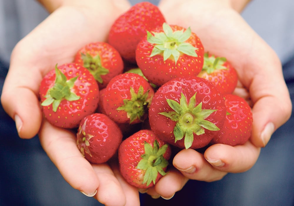 Strawberries are loaded with antioxidants and fibre, and when in season, are a flavour sensation. We love them alone with a scoop of ice cream or over angel food and cream. However, they are also great in salads.  |  Getty image