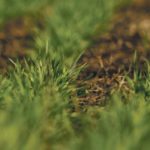 The U.S. Department of Agriculture reports that three percent of the country’s spring wheat crop was seeded as of April 22, compared to the previous five-year average of 25 percent. | File photo
