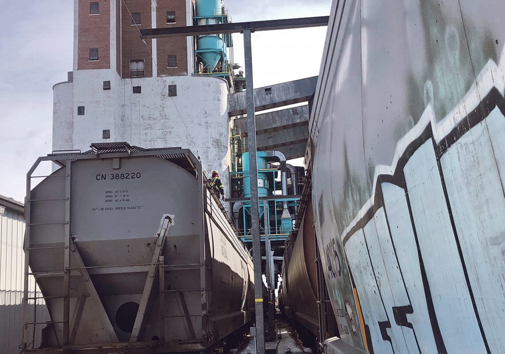 Analysts believe canola and spring wheat still have a chance to meet export targets with a good late-season push.  | Matthew Denomie photo 