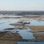 Flood waters encroach on the Pibroch Hutterite Colony’s calving area April 26 near Pibroch, Alta. Overland flooding has been a problem this spring in many parts of Alberta. | Les Dunford photo