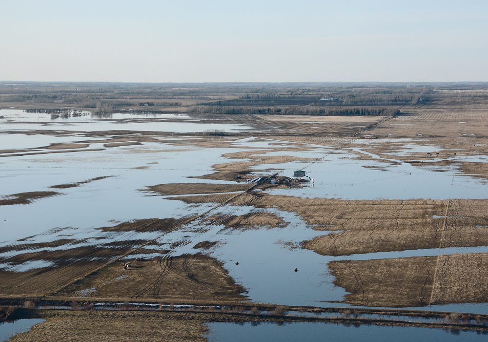 Flood waters encroach on the Pibroch Hutterite Colony’s calving area April 26 near Pibroch, Alta. Overland flooding has been a problem this spring in many parts of Alberta.  |  Les Dunford photo