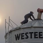 Alberta producers can expect new rules this summer that require them to have a clear health and safety plan and will also spell out how they should address injuries and dangerous-work refusals.
| File photo