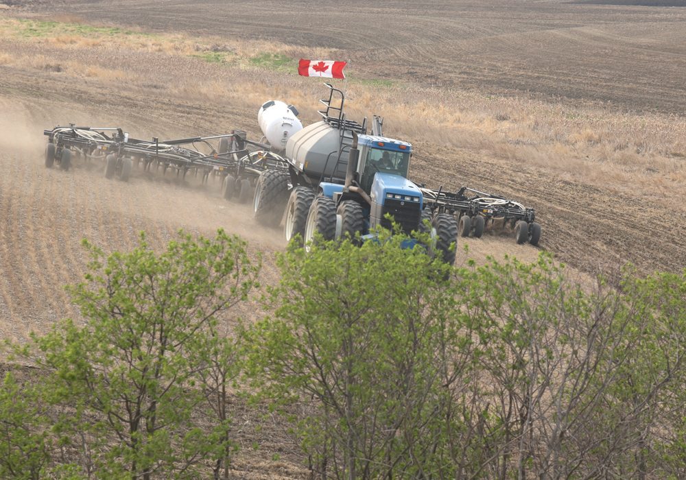 The oilseed sector is leading the charge. Crush margins have dramatically improved and along with them the financial fortunes of many grain companies.  | File photo