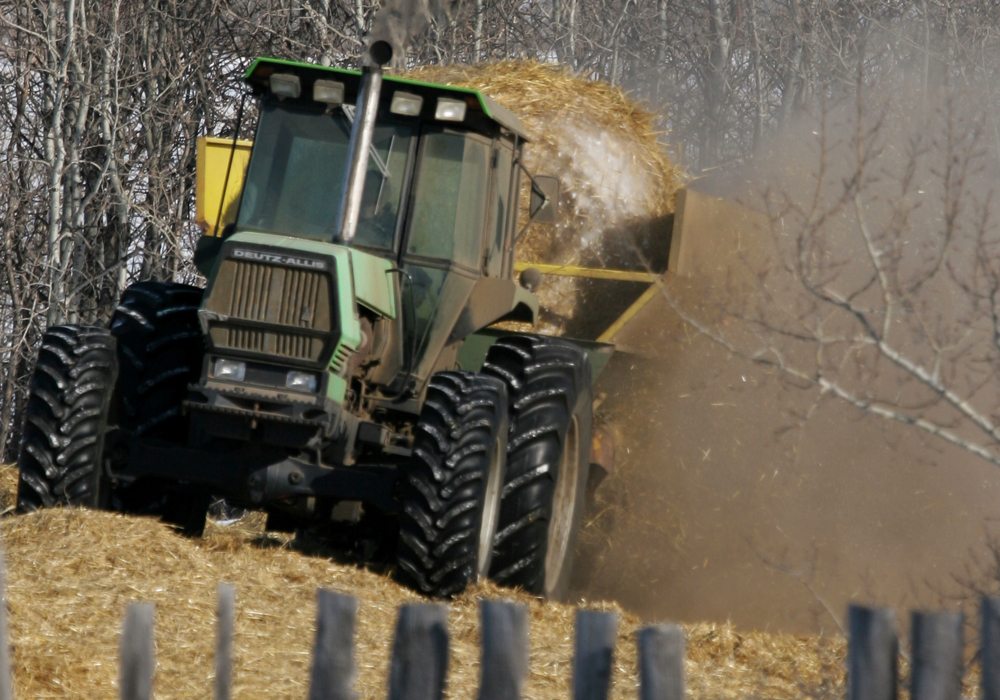 Forage supplies are starting to dwindle across Western Canada following a long, cold, winter and rain is needed soon to make for a good forage crop this year. | File photo