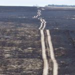 The fire near Bindloss, Alta., was allowed to spread as far as it did because volunteer firefighters were at one point stopped from entering the Armed Forces base to combat the flames. | File photo