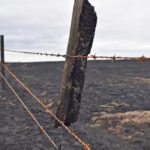 The wildfires that swept across southeastern Alberta and southwestern Saskatchewan last October have long been extinguished. But is the region prepared if it was to happen again? | File photo