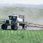 The campaign against glyphosate is having an impact: breweries are refusing to buy malt barley if it’s been sprayed with glyphosate before harvest, oat millers are telling growers not to apply the herbicide pre-harvest and Italian pasta makers are refusing to buy Canadian durum partly because of concerns over glyphosate residues. | File photo