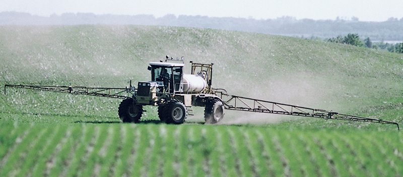 The campaign against glyphosate is having an impact:  breweries are refusing to buy malt barley if it’s been sprayed with glyphosate before harvest, oat millers are telling growers not to apply the herbicide pre-harvest and Italian pasta makers are refusing to buy Canadian durum partly because of concerns over glyphosate residues.  |  File photo