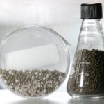When it comes to the micronutrients of interest for Saskatchewan, copper, zinc, boron, manganese, iron, and chlorine are the ones growers should be concerned about. | File photo