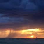 Amounts of precipitation varied across the province, with additional moisture still needed in many areas. The recent rains combined with warm temperatures have resulted in rapid germination, emergence and crop growth. | Michael Raine photo