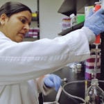 Laboratory testing is done at the University of Calgary Faculty of Veterinary Medicine. As summer approaches, officials are on the lookout for whirling disease in fish. | University of Calgary photo