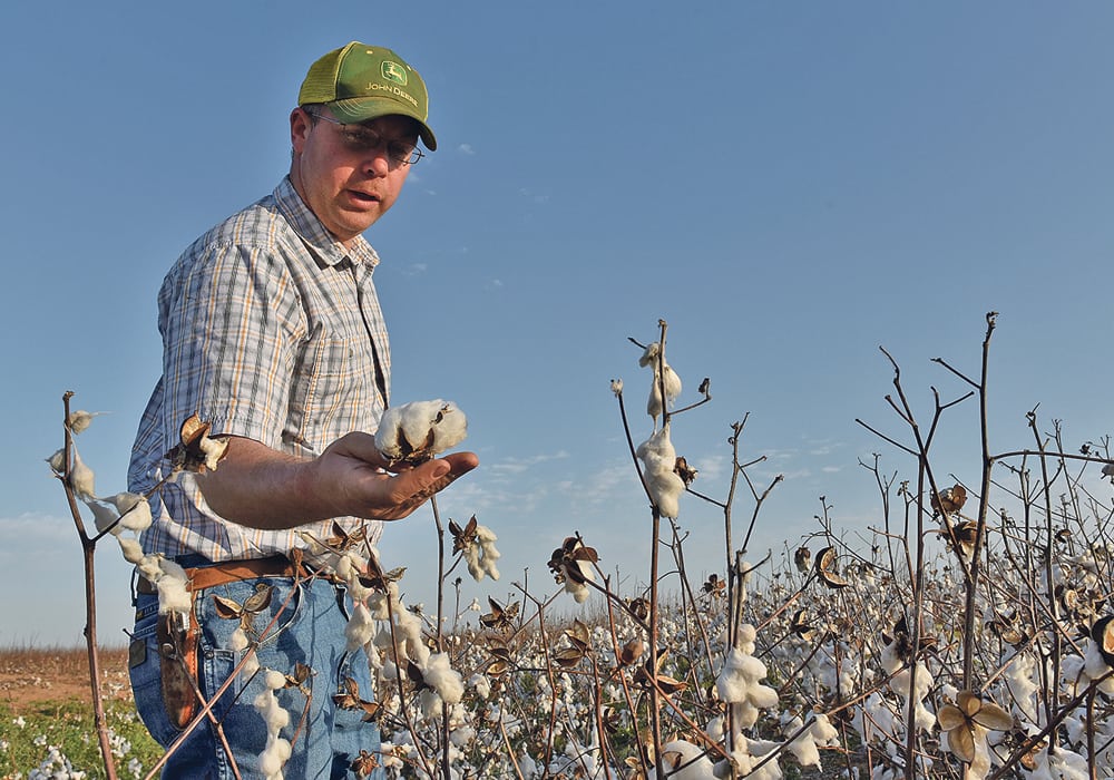 Cotton farmer Drew Malchoff looks over a patch of cotton that was left unharvested near Wakita, Oklahoma,  May 11, 2018.  |  REUTERS/Nick Oxford photo