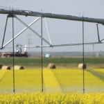 Irrigation in the Vauxhall, Alta. area. Alberta’s irrigation sector should be able to grow with few risks, suggests new research. | File Photo